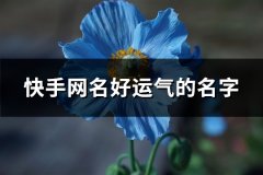 快手网名好运气的名字(488个)