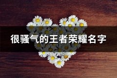 很骚气的王者荣耀名字(精选189个)