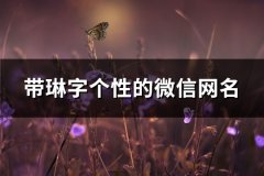 带琳字个性的微信网名(精选67个)