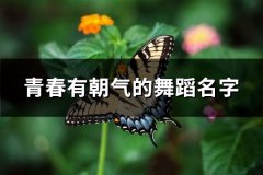 青春有朝气的舞蹈名字(优选63个)