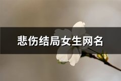 悲伤结局女生网名(优选265个)