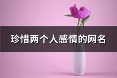 珍惜两个人感情的网名(149个)