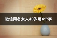 微信网名女人40岁用4个字(共511个)