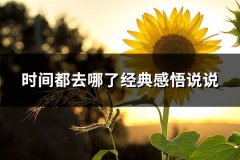 时间都去哪了经典感悟说说(实用63句)