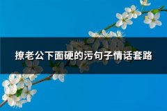 撩老公下面硬的污句子情话套路(共127句)