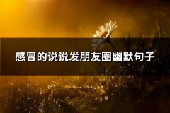 感冒的说说发朋友圈幽默句子(89句)