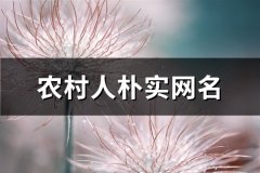 农村人朴实网名(共127个)