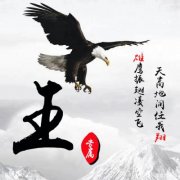 王字微信头像1823年最新版图片(共20张)