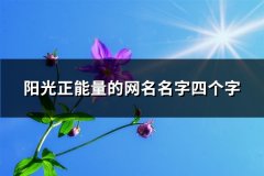 阳光正能量的网名名字四个字(共284个)