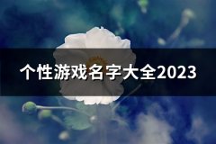 个性游戏名字大全2023(249个)