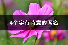 4个字有诗意的网名(共669个)