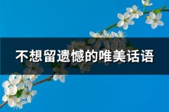 不想留遗憾的唯美话语(推荐75句)