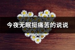 今夜无眠挺痛苦的说说(实用79句)
