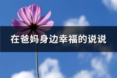 在爸妈身边幸福的说说(实用84句)