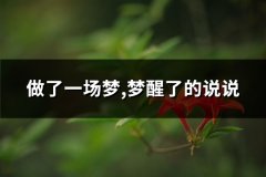 做了一场梦,梦醒了的说说(实用41句)