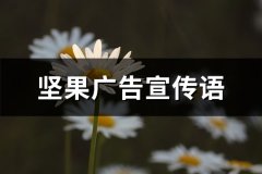 坚果广告宣传语(40句)