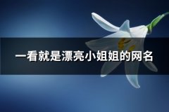 一看就是漂亮小姐姐的网名(240个)