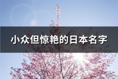 小众但惊艳的日本名字(共90个)