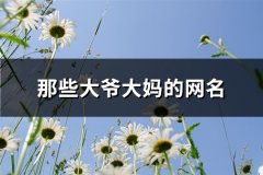 那些大爷大妈的网名(共258个)