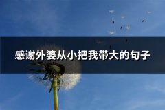 感谢外婆从小把我带大的句子(精选95句)