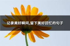 记录美好瞬间,留下美好回忆的句子(精选83句)