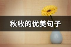 秋收的优美句子(共64句)