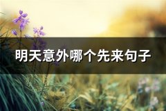 明天意外哪个先来句子(实用93句)