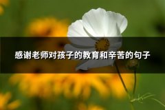 感谢老师对孩子的教育和辛苦的句子(实用107句)