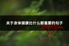 关于身体健康比什么都重要的句子(通用94句)