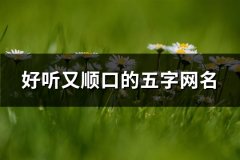 好听又顺口的五字网名(319个)