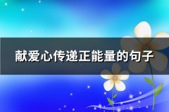 献爱心传递正能量的句子(精选87句)