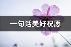 一句话美好祝愿(精选56句)
