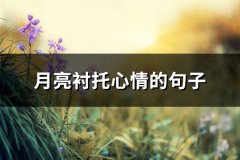 月亮衬托心情的句子(热门81句)