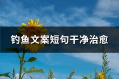 钓鱼文案短句干净治愈(汇总91句)