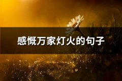 感慨万家灯火的句子(精选81句)