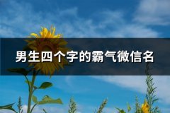 男生四个字的霸气微信名(精选857个)