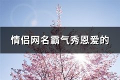 情侣网名霸气秀恩爱的(优选331个)