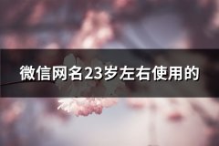 微信网名23岁左右使用的(863个)