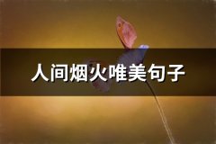 人间烟火唯美句子(通用49句)