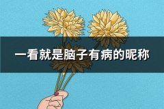 一看就是脑子有病的昵称(精选125个)