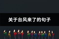 关于台风来了的句子(热门97句)