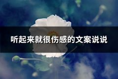 听起来就很伤感的文案说说(134句)