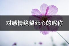 对感情绝望死心的昵称(精选108个)