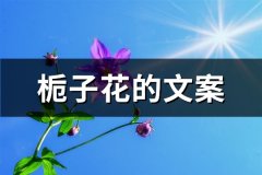 栀子花的文案(实用76句)