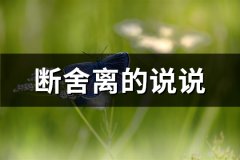 断舍离的说说(热门82句)