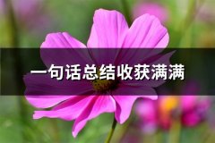 一句话总结收获满满(汇总86句)