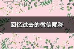 回忆过去的微信昵称(精选216个)