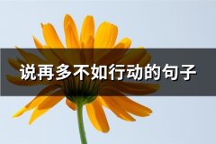 说再多不如行动的句子(精选84句)