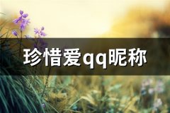珍惜爱qq昵称(共196个)