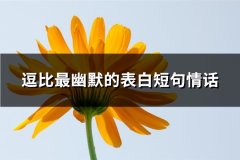 逗比最幽默的表白短句情话(精选137句)